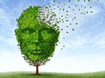 Alzheimers-brain_shutterstock_300